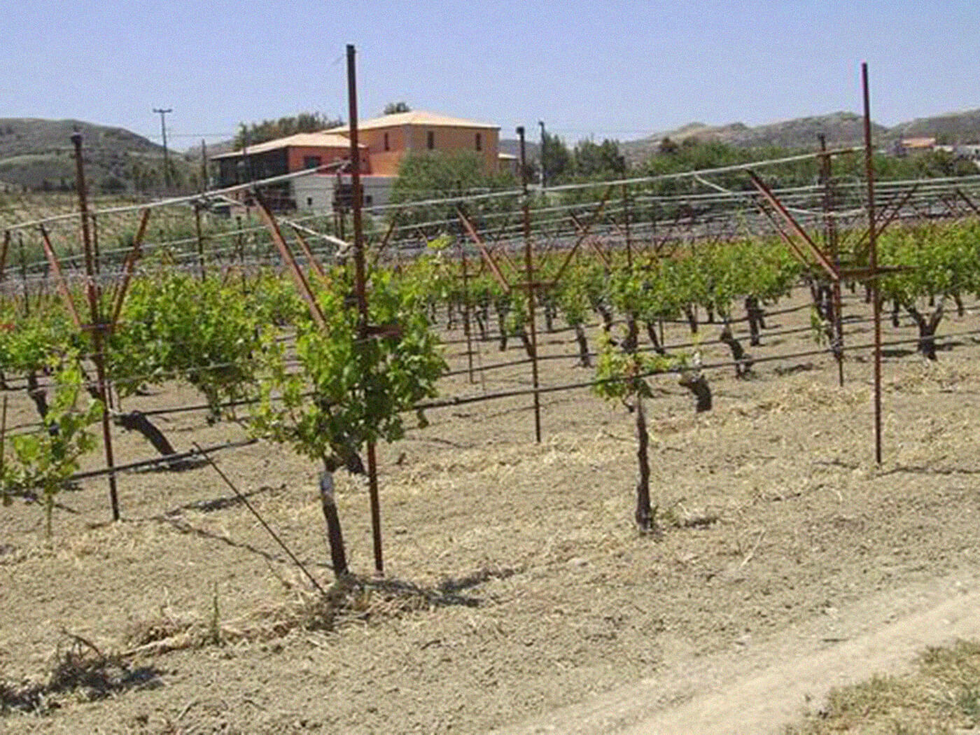 Winery Nikos Gavalas