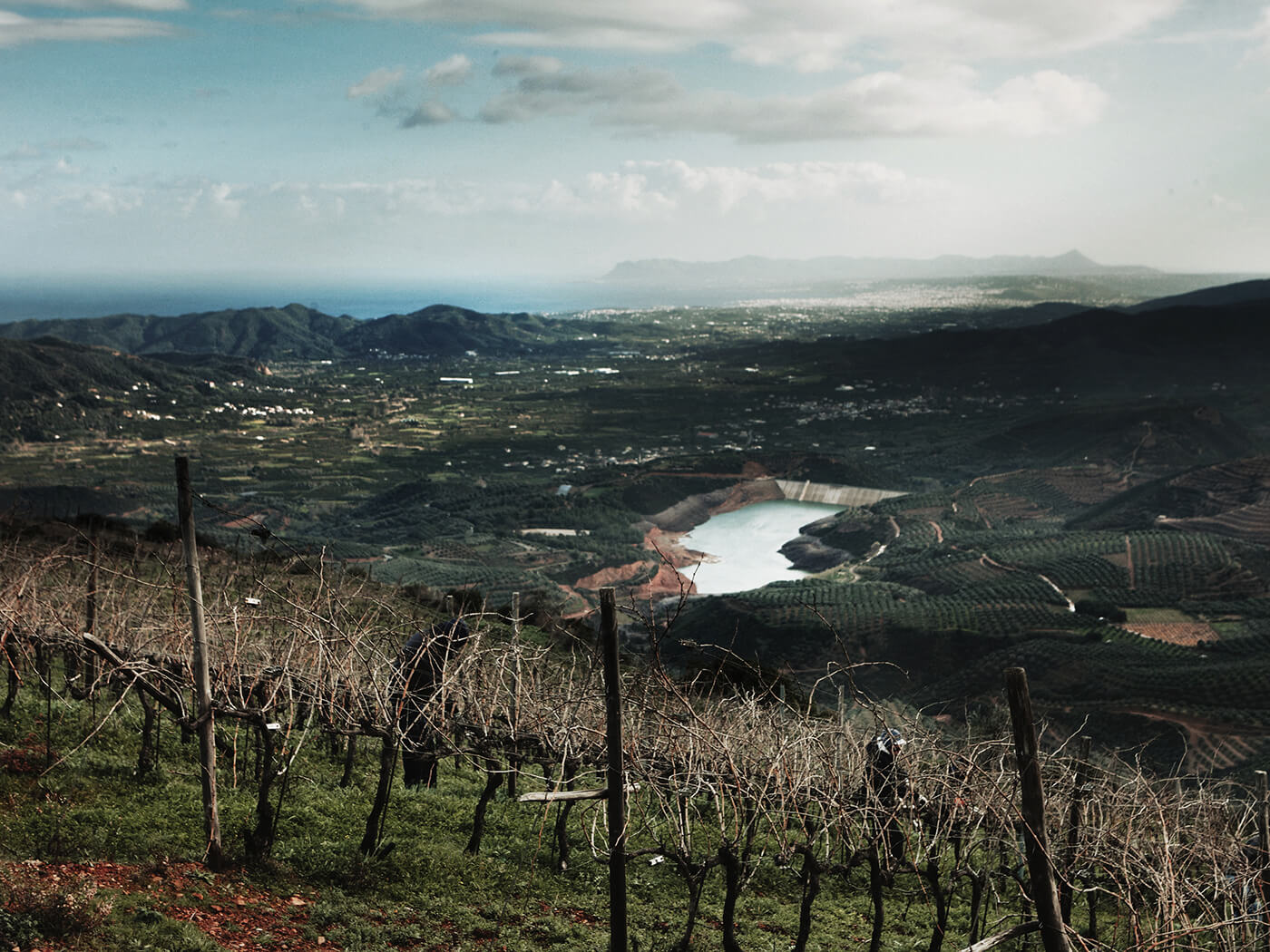 Manousakis Winery – Nostos Wines