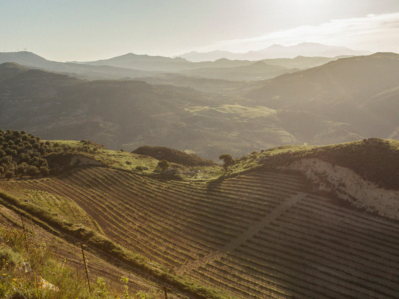 Domaine Zacharioudakis