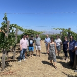 Σημαντικοί επαγγελματίες στο χώρο του κρασιού από το Ηνωμένο Βασίλειο και τις ΗΠΑ επισκέφθηκαν την Κρήτη για να γνωρίσουν τον Κρητικό Αμπελώνα