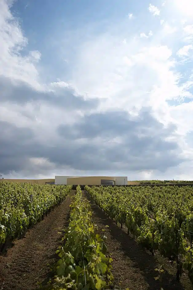 Το Κτήμα Scalarea, στο Σκαλάνι Ηρακλείου, αναζητά νέο μέλος για την ομάδα φιλοξενίας.